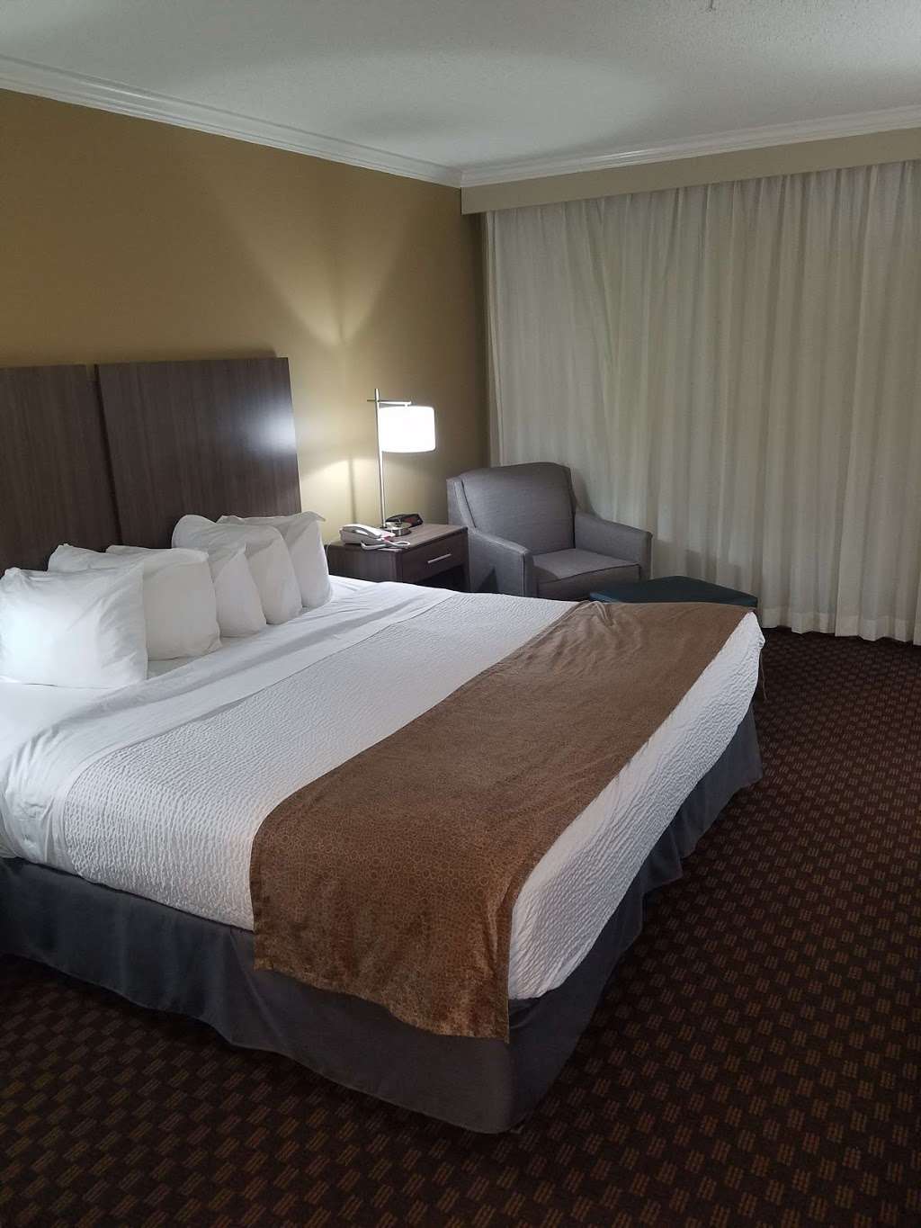 Best Western Ocean City Hotel & Suites | 5501 Coastal Hwy, Ocean City, MD 21842 | Phone: (443) 664-4001