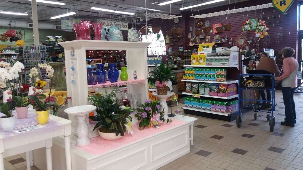 Saunoris Garden Center | 6000 W 111th St, Chicago Ridge, IL 60415 | Phone: (708) 422-7272