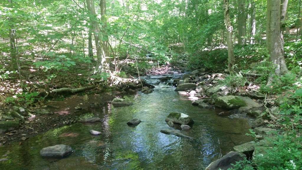 Dismal Harmony Natural Area | Morristown, NJ 07960, USA