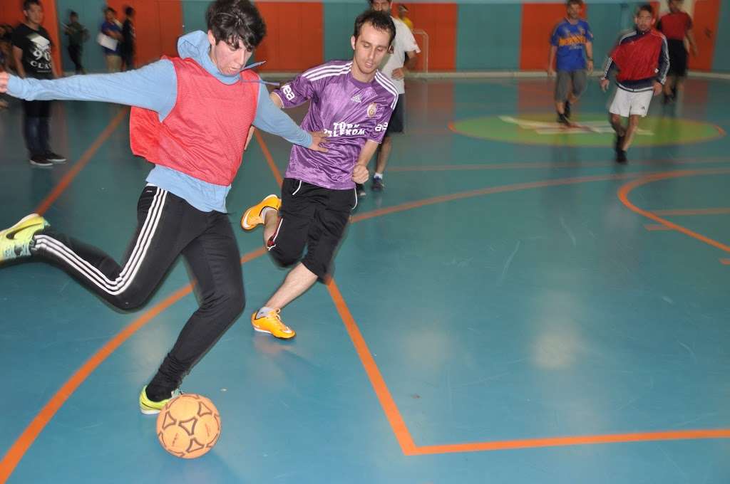 Harmony School of Ingenuity - Houston | 10555 Stella Link Rd, Houston, TX 77025, USA | Phone: (713) 664-1020