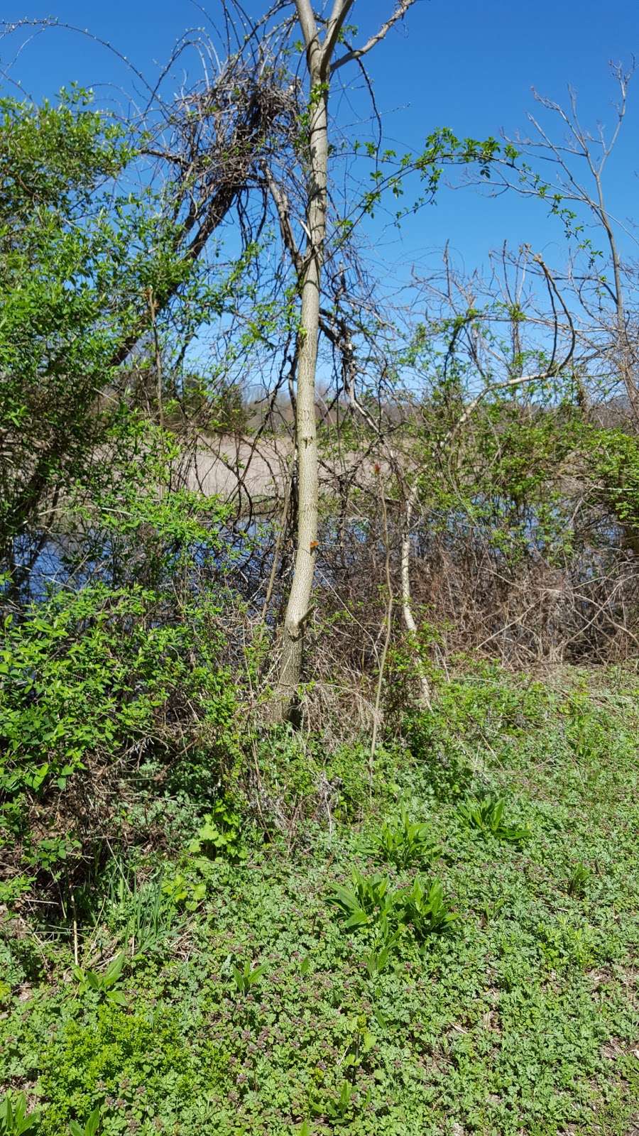 Hyper Humus Marsh | Newton, NJ 07860, USA