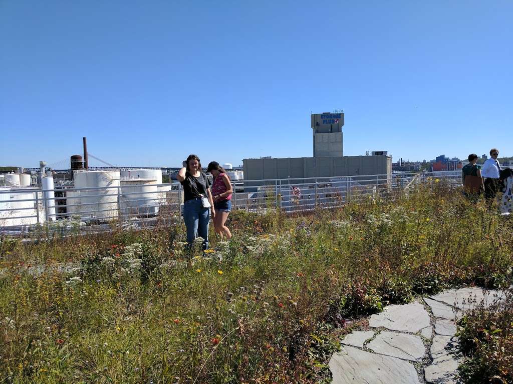 Kingsland Wildflowers Green Roof & Community Engagement Center | 520 Kingsland Ave, Brooklyn, NY 11222, USA