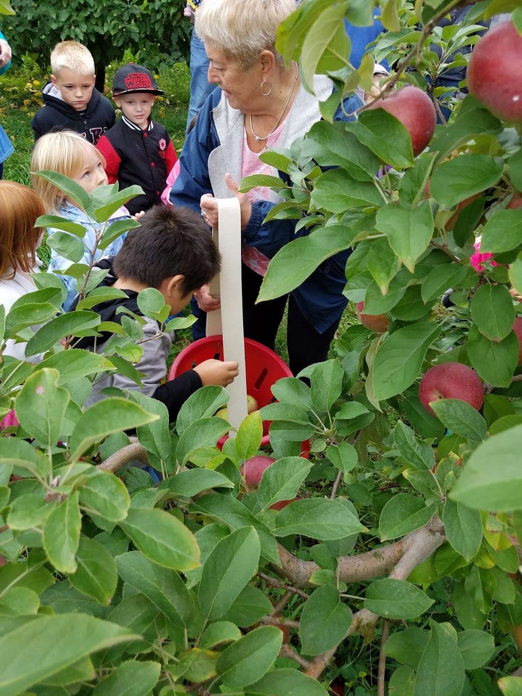 Seyfert Orchards Inc | 1050 Mt Zion Rd, Lebanon, PA 17046, USA | Phone: (717) 272-2966