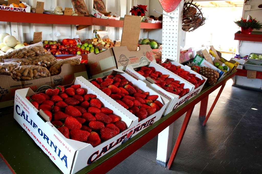 Patys Farm | 3260 Somis Rd, Somis, CA 93066, USA | Phone: (805) 947-6764