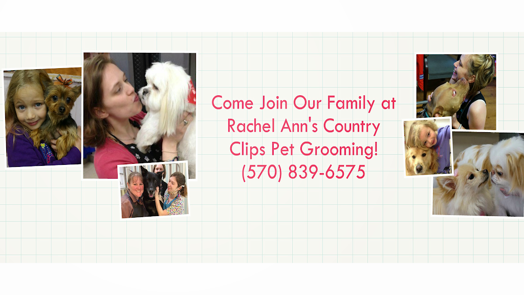 Rachel Anns Country Clips Pet Grooming | 2652 PA-940 #105, Pocono Summit, PA 18346, USA | Phone: (570) 839-6575