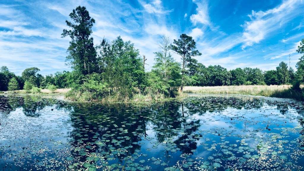 Houston Arboretum & Nature Center | 4501 Woodway Dr, Houston, TX 77024, USA | Phone: (713) 681-8433