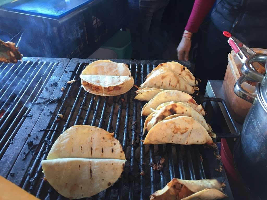 Tacos De Marlin Las Brazas | Avenida Universidad 321-a, Otay Jardin, 22427 Tijuana, B.C., Mexico | Phone: 664 119 8670