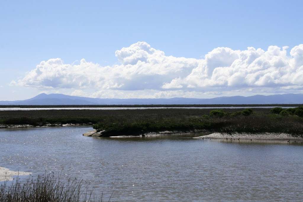 Meadows & Severus | Vallejo, CA 94589, USA