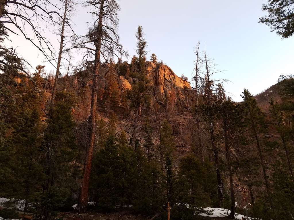 Old Forest Inn | Estes Park, CO 80517, USA