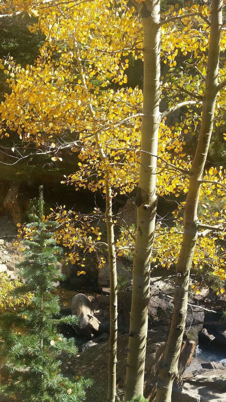 Upper Wind River | Estes Park, CO 80517, USA