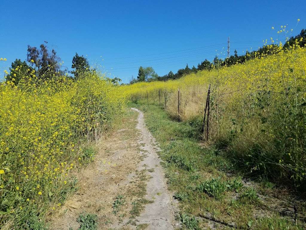 Rice Canyon Demonstration Gardens | Chula Vista, CA 91910, USA