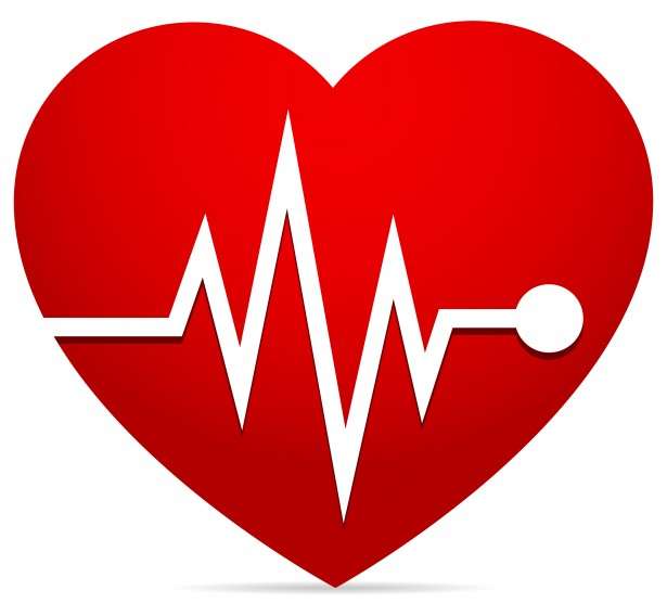 CPR-Heartsaver | 5980 S County Rd 25 E, Cloverdale, IN 46120, USA | Phone: (317) 289-1174