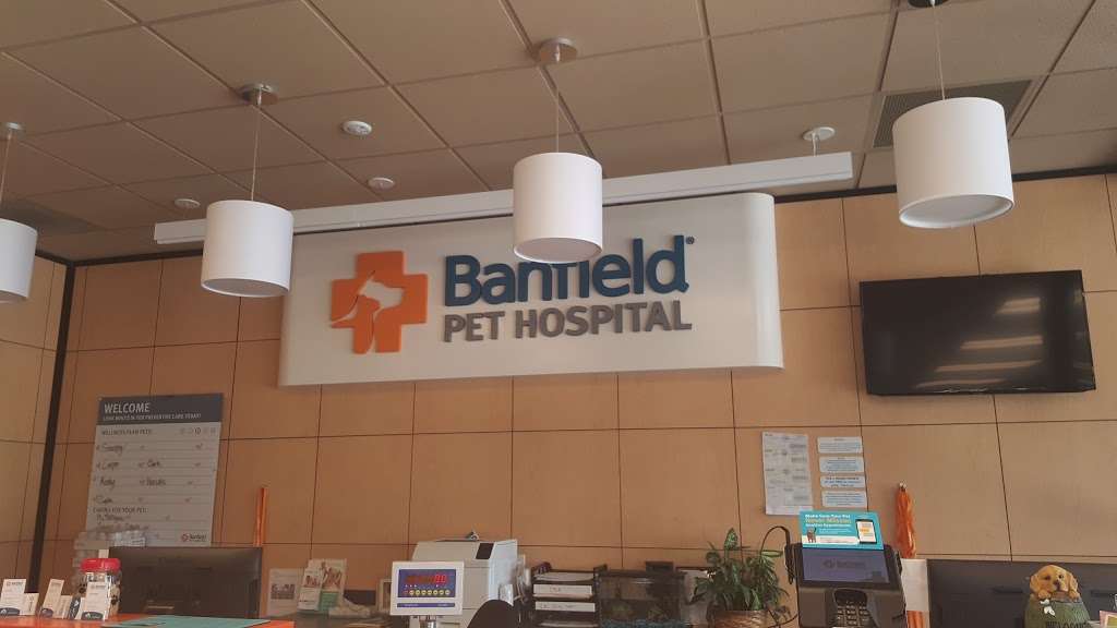 Banfield Pet Hospital | 28114 S Western Ave Unit #3, San Pedro, CA 90732 | Phone: (310) 831-1899