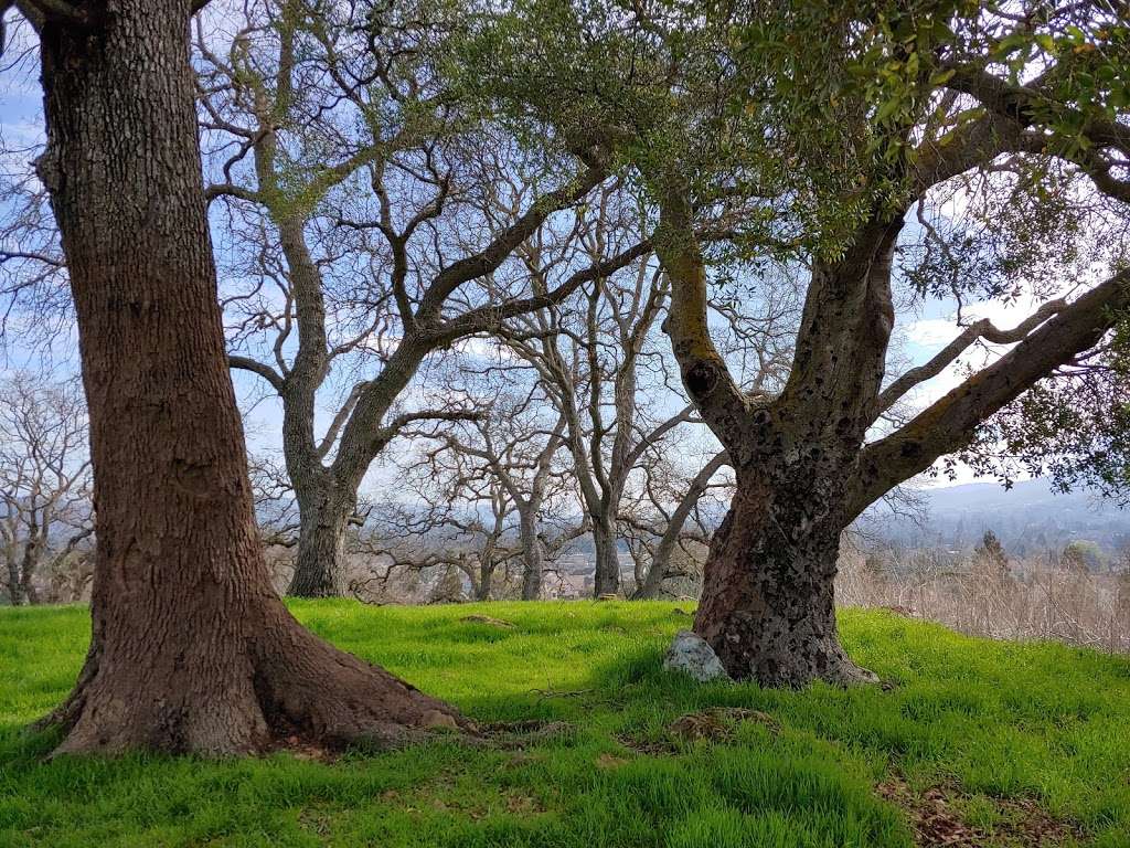 Almaden Meadows Park | San Jose, CA 95120, USA