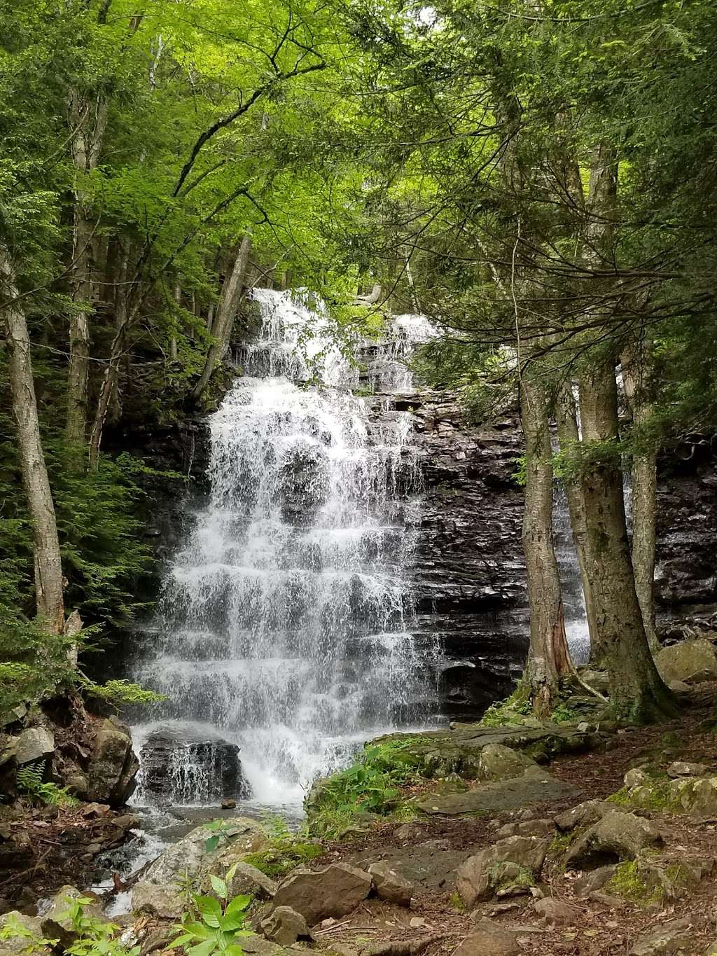 Bear Creek Falls | State Rte 2041, Wilkes-Barre, PA 18702, USA