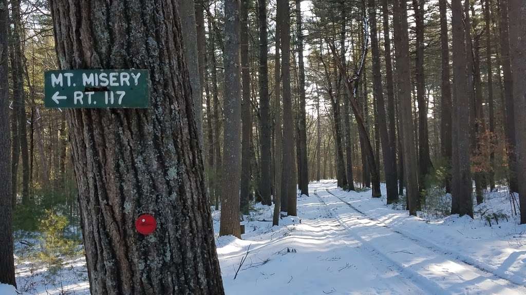 Adams Woods Conservation Land, Town of Lincoln | Adams Woods Trails, Concord, MA 01742, USA