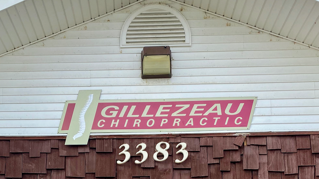 Gillezeau Chiropractic | 3383 Big Tree Rd, Hamburg, NY 14075 | Phone: (716) 980-6107