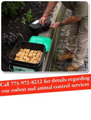 Bonanza Pest Control | 17575 Blackbird Dr, Reno, NV 89508 | Phone: (775) 972-8212