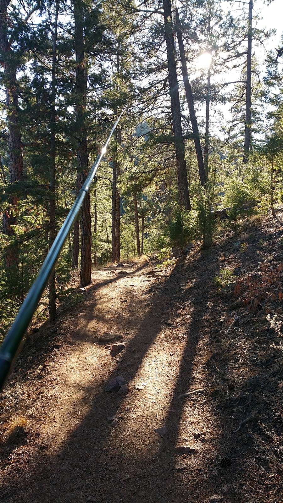 Cheesman Canyon Fishing Access Trailhead | 23785 Co Rd 126, Pine, CO 80470, USA