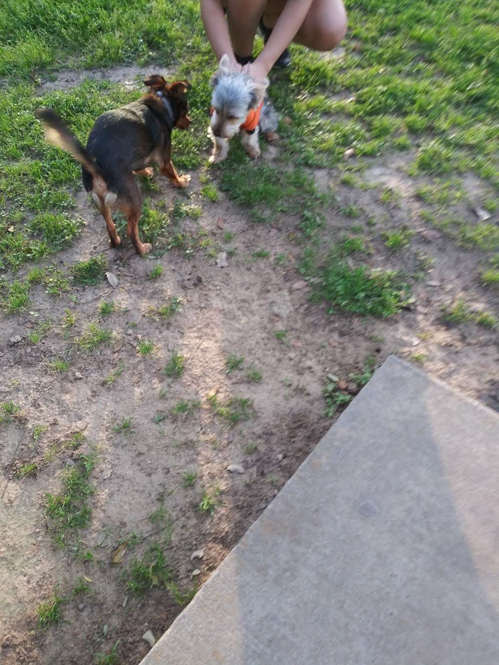 Ella & Friends Dog Park | 0460290000079, Deer Park, TX 77536, USA