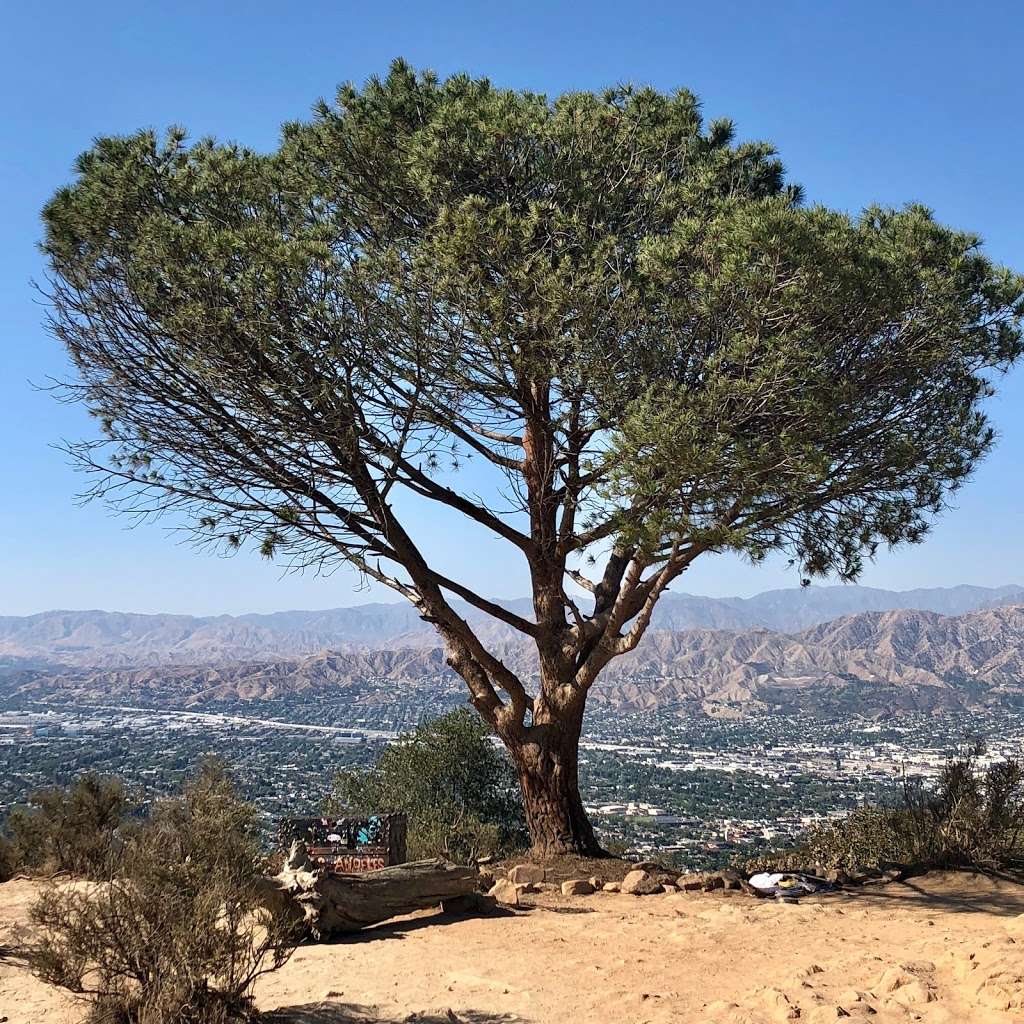 Burbank Peak | Tree of Life Trail, Los Angeles, CA 90068, USA