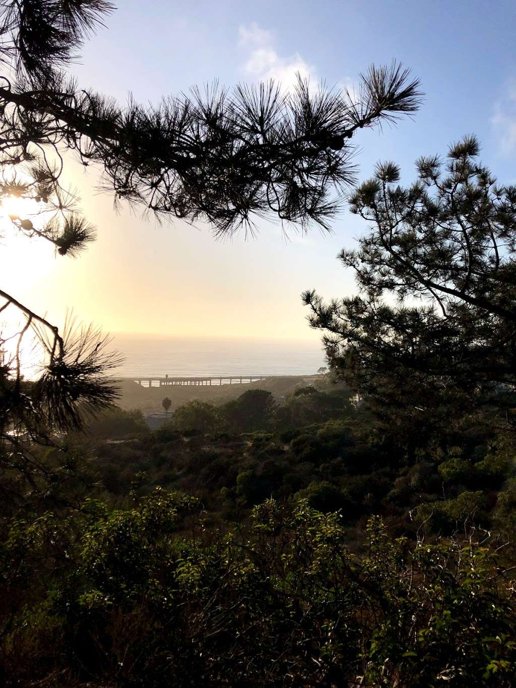 DAR Trail viewpoint | DAR Trail, Del Mar, CA 92014, USA