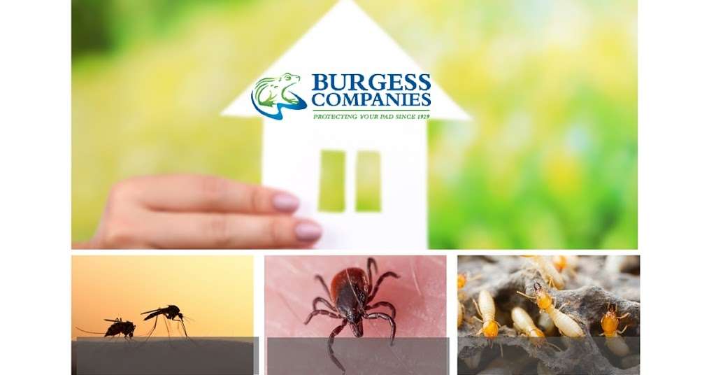 Burgess Pest Management | 177 S Main St, West Bridgewater, MA 02379, USA | Phone: (508) 587-4309