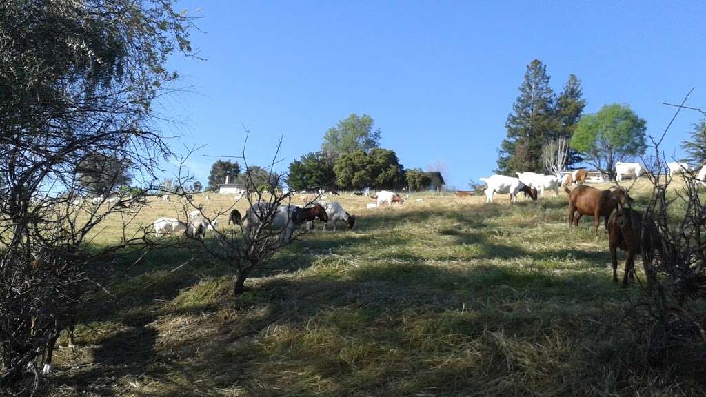 Sabercat Creek Trail | Fremont, CA 94539, USA