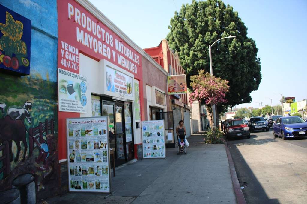 Medicina Alternativa USA | 2204 S Central Ave, Los Angeles, CA 90011, USA | Phone: (323) 638-6970