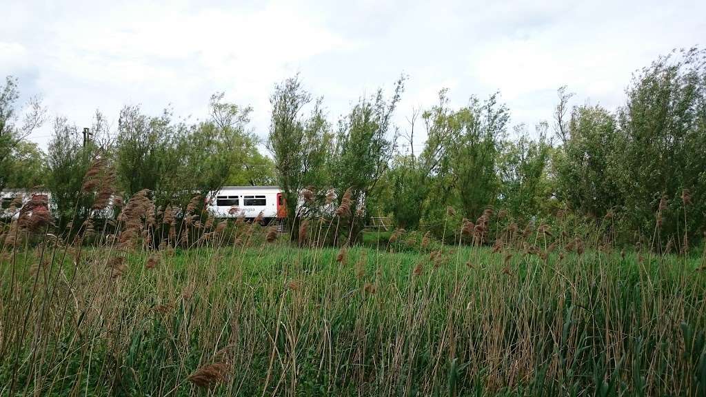 Marshgate Spring Nature Reserve. | Edinburgh Way, Harlow CM20 2SU, UK