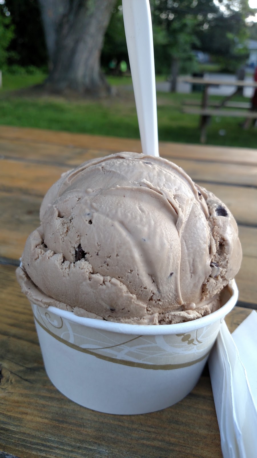 Meadowlands Ice Cream | 328 N Billerica Rd, Tewksbury, MA 01876, USA | Phone: (978) 454-6701