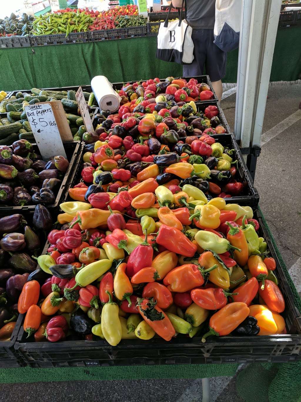 Pasadena Farmers Market | 2925 Sierra Madre Blvd, Pasadena, CA 91107, USA | Phone: (626) 449-0179