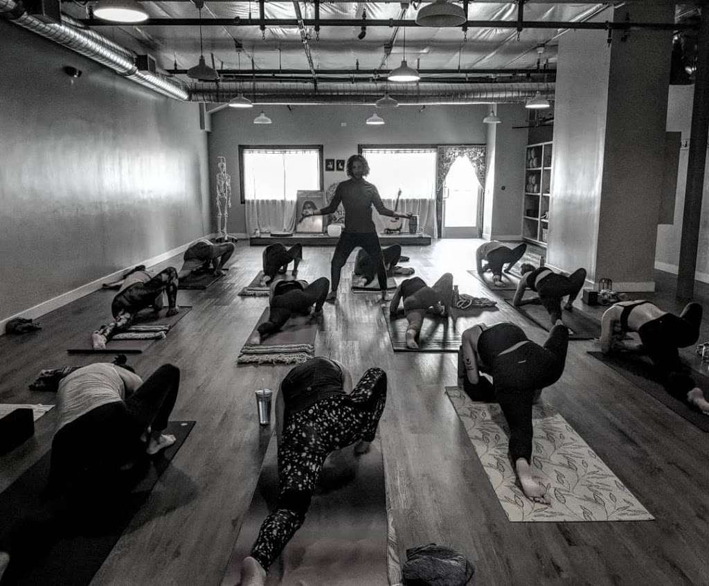 Yoga Sapien | 610 N Coast Hwy suite 208, Laguna Beach, CA 92651 | Phone: (949) 416-3996