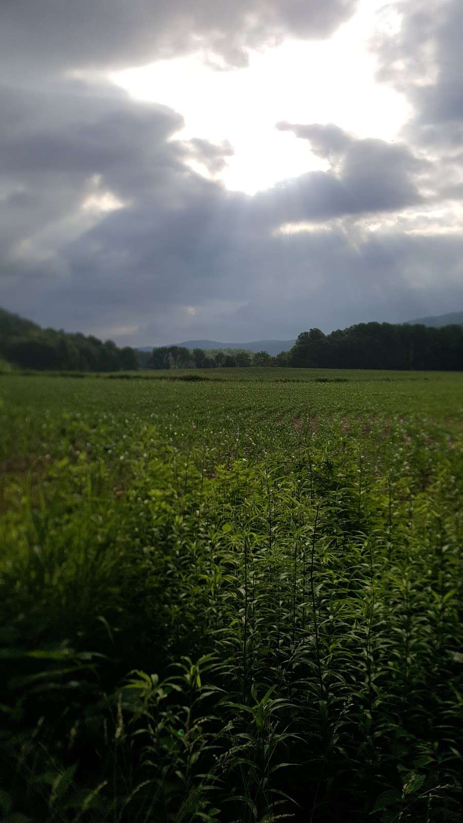 Hialeah Trailhead | McDade Recreational Trail, East Stroudsburg, PA 18301, USA