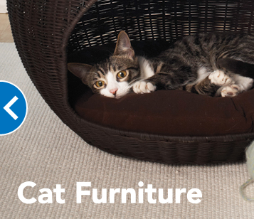 PetSmart | 3939 S Arizona Ave, Chandler, AZ 85248, USA | Phone: (480) 281-5506