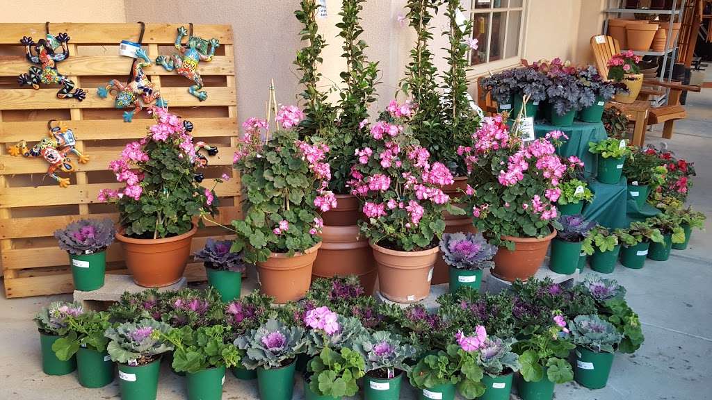 Grangettos Farm & Garden Supply | 189 S Rancho Santa Fe Rd, Encinitas, CA 92024 | Phone: (760) 944-5777