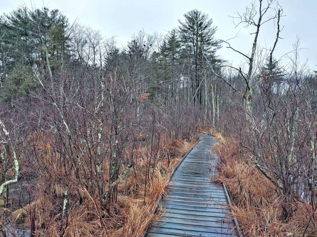 Partridge Island Trail | 333 Main St, Lynnfield, MA 01940, USA