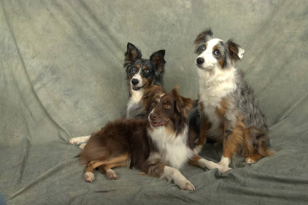 Foshay Photographers | 2324 W Memphis Pl, Broken Arrow, OK 74012, USA | Phone: (918) 384-9422