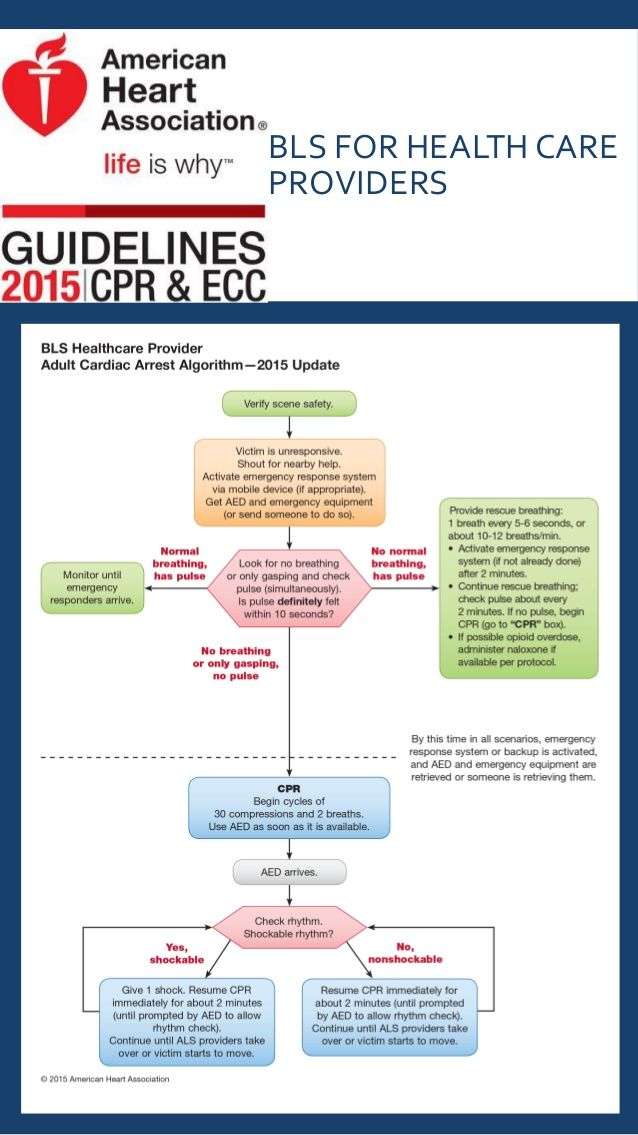 Rania Hesham, BLS/CPR | 486 Meadowood Rd, Jackson, NJ 08527, USA | Phone: (646) 236-4200