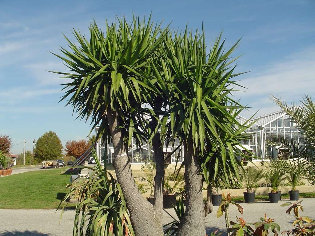 U.S. Botanic Garden Production Facility | 4700 Shepherd Pkwy SW, Washington, DC 20032 | Phone: (202) 225-8333