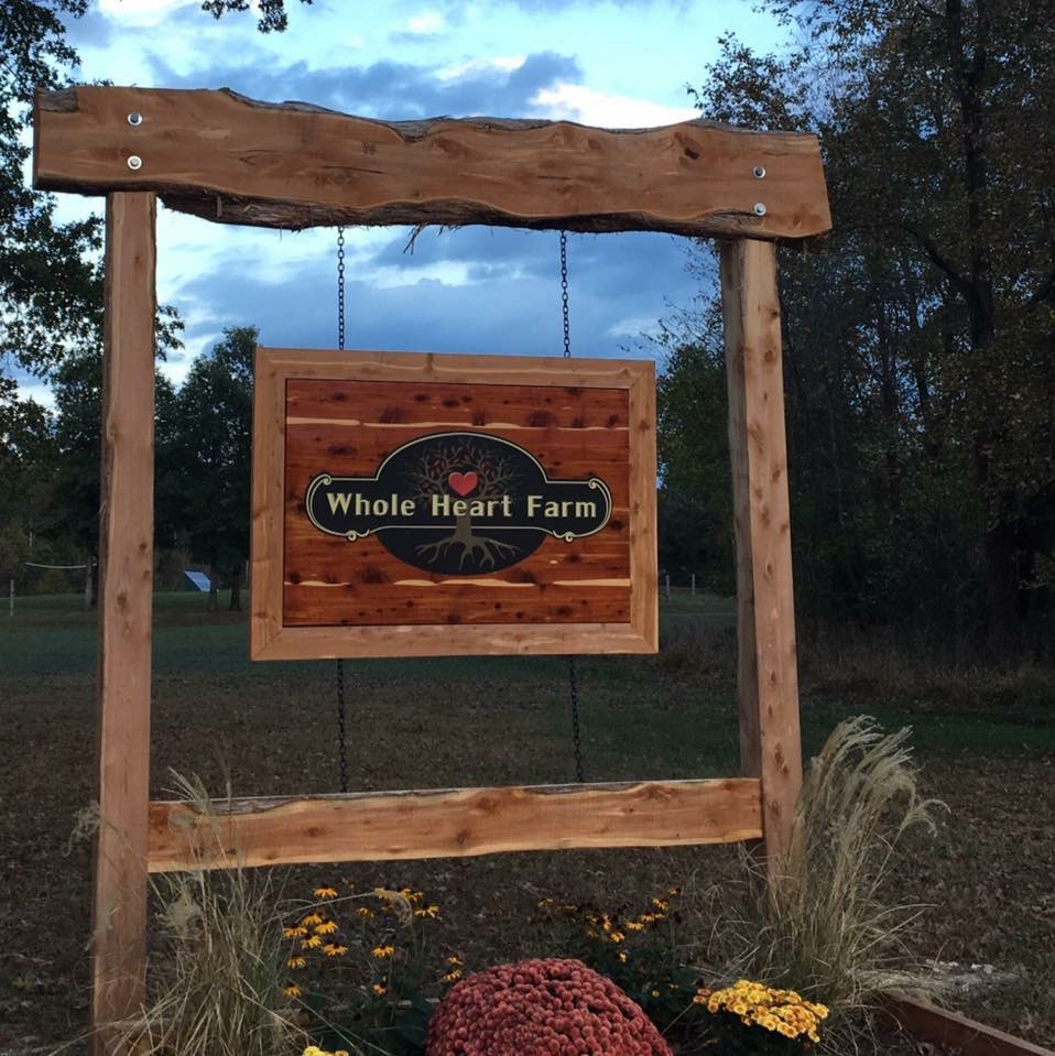 Whole Heart Farm | 22303 Zachary Taylor Hwy, Culpeper, VA 22701, USA | Phone: (540) 718-6419