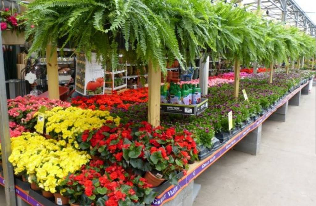 Garden Center at The Home Depot | 9751 Crosshill Blvd, Jacksonville, FL 32222, USA | Phone: (904) 771-3228