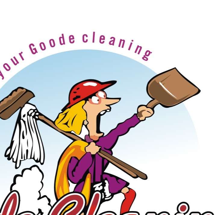 Goode Cleaning LLC | 229 Beaver Pond Rd, Harrington, DE 19952, USA | Phone: (302) 398-4520