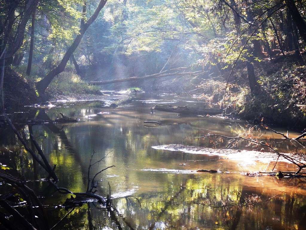 Lone Star Hiking Trail - Trailhead # 15 | Cleveland, TX 77328, USA | Phone: (936) 344-6205