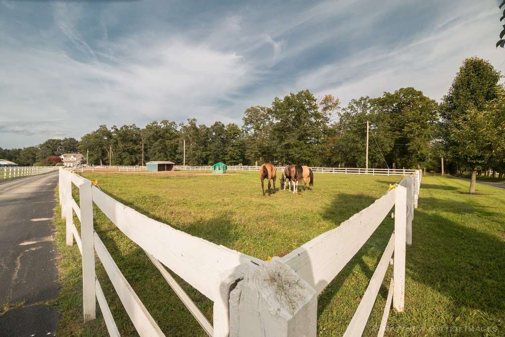 Mane View Stables | 24 Oriental Rd, Shamong, NJ 08088, USA | Phone: (609) 519-3934