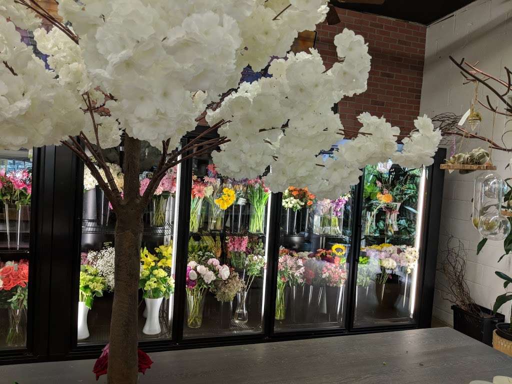 Urban Flower Market | 1621 Hamburg Turnpike, Wayne, NJ 07470, USA | Phone: (973) 356-9377