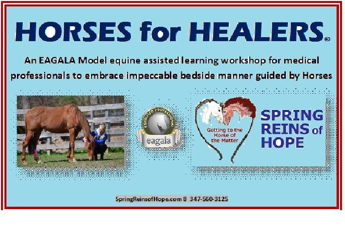 SPRING REINS of HOPE LLC (Getting to the Horse of the Matter) | c/o: Hunt Cap Farms, 401 Main St, Three Bridges, NJ 08887, USA | Phone: (347) 560-3125