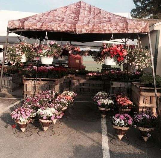 Kitchens Farm Market | 1025 Kitchen Orchard Rd, Falling Waters, WV 25419 | Phone: (304) 274-1994