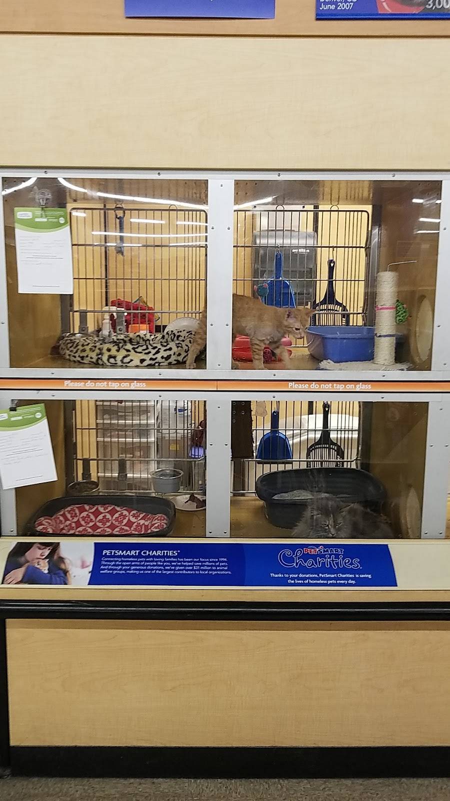 PetSmart | 8070 Academy Rd NE, Albuquerque, NM 87111 | Phone: (505) 796-0561