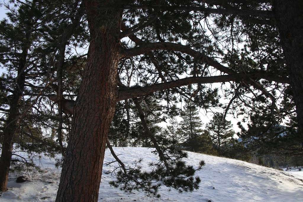 Sprague Lake Camp | Estes Park, CO 80517, USA